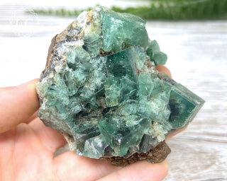 Diana Maria Fluorite #20