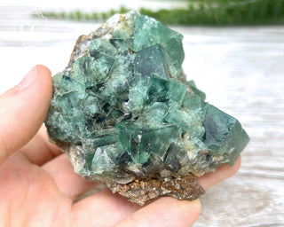 Diana Maria Fluorite #20