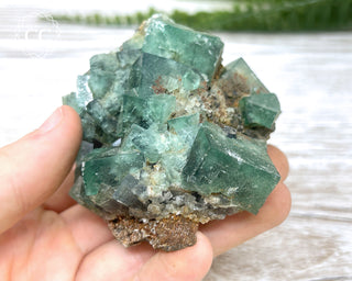 Diana Maria Fluorite #20