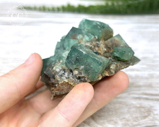 Diana Maria Fluorite #20