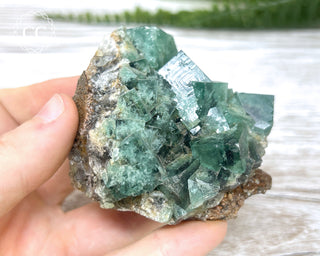 Diana Maria Fluorite #20