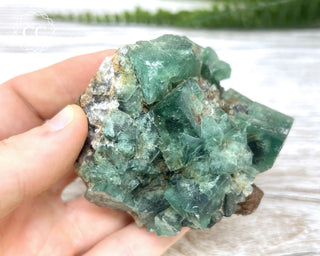 Diana Maria Fluorite #20