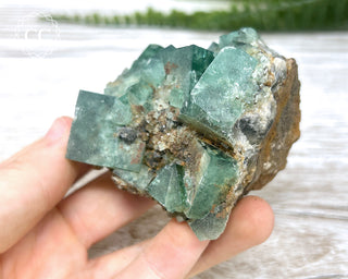 Diana Maria Fluorite #20