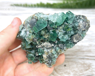 Diana Maria Fluorite #21