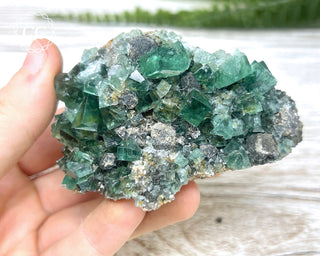 Diana Maria Fluorite #21