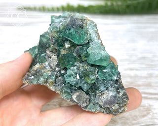 Diana Maria Fluorite #21
