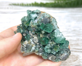 Diana Maria Fluorite #21