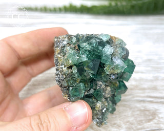 Diana Maria Fluorite #21