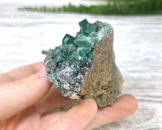 Diana Maria Fluorite #21