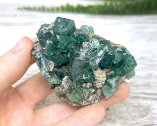 Diana Maria Fluorite #22