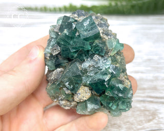 Diana Maria Fluorite #22