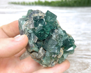 Diana Maria Fluorite #22