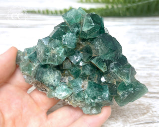 Diana Maria Fluorite #4