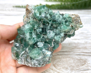 Diana Maria Fluorite #1