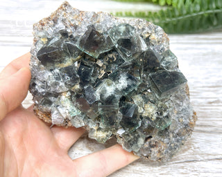 Diana Maria Fluorite #24