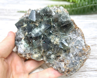 Diana Maria Fluorite #24