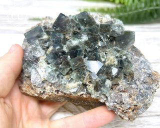 Diana Maria Fluorite #24