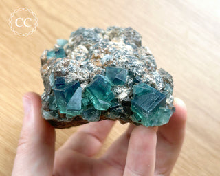 Diana Maria Fluorite #6