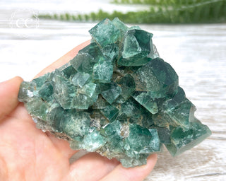 Diana Maria Fluorite #4