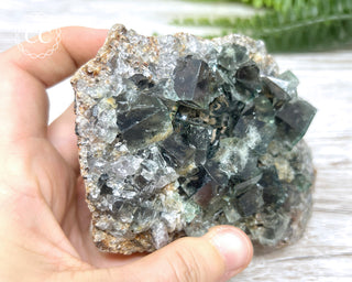 Diana Maria Fluorite #24