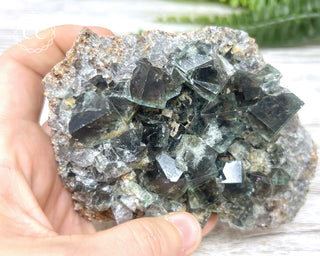 Diana Maria Fluorite #24