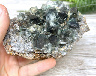 Diana Maria Fluorite #24