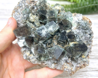 Diana Maria Fluorite #24