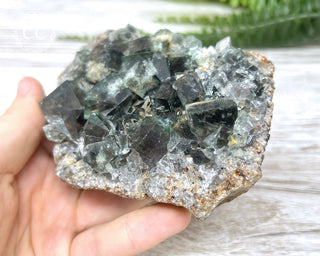 Diana Maria Fluorite #24