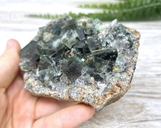 Diana Maria Fluorite #24
