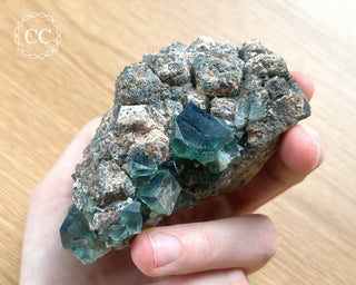 Diana Maria Fluorite #6