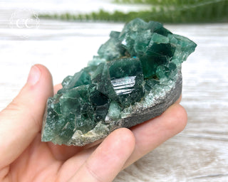 Diana Maria Fluorite #4