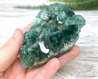 Diana Maria Fluorite #4