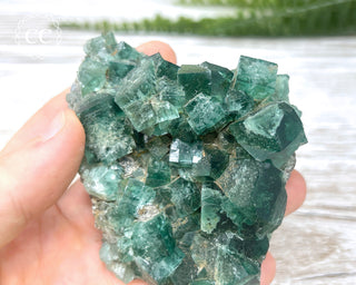 Diana Maria Fluorite #4