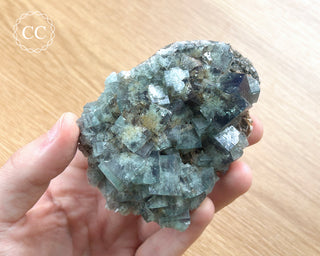 Diana Maria Fluorite #7