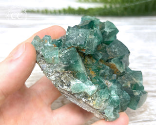 Diana Maria Fluorite #4
