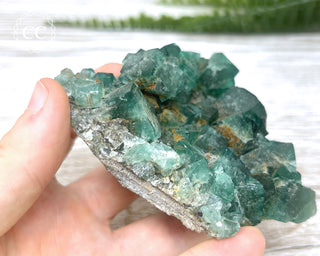 Diana Maria Fluorite #4