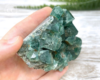 Diana Maria Fluorite #4