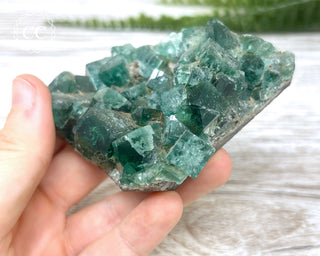 Diana Maria Fluorite #4