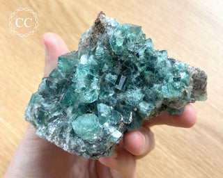 Diana Maria Fluorite #1