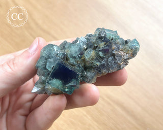 Diana Maria Fluorite #9