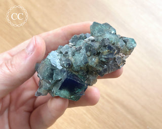 Diana Maria Fluorite #9
