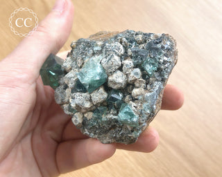 Diana Maria Fluorite #11