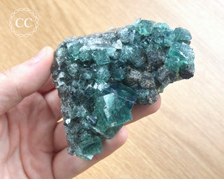 Diana Maria Fluorite #12