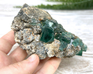 Diana Maria Fluorite #6