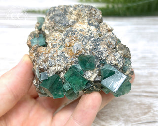 Diana Maria Fluorite #6