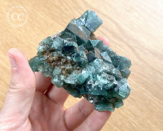 Diana Maria Fluorite #13