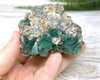 Diana Maria Fluorite #6