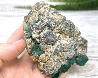 Diana Maria Fluorite #6