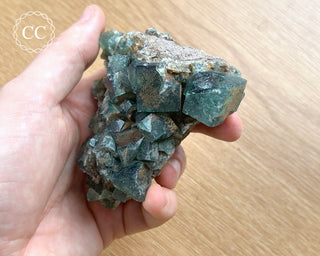 Diana Maria Fluorite #13