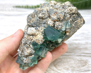 Diana Maria Fluorite #6